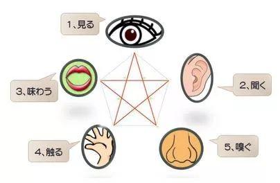 目前这套设备的售价为23万8000日元，